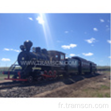 Locomotive de moteur à vapeur antique pour des taches pittoresques